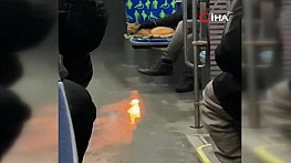 İETT otobüsünde kedinin keyifli yolculuğu kamerada